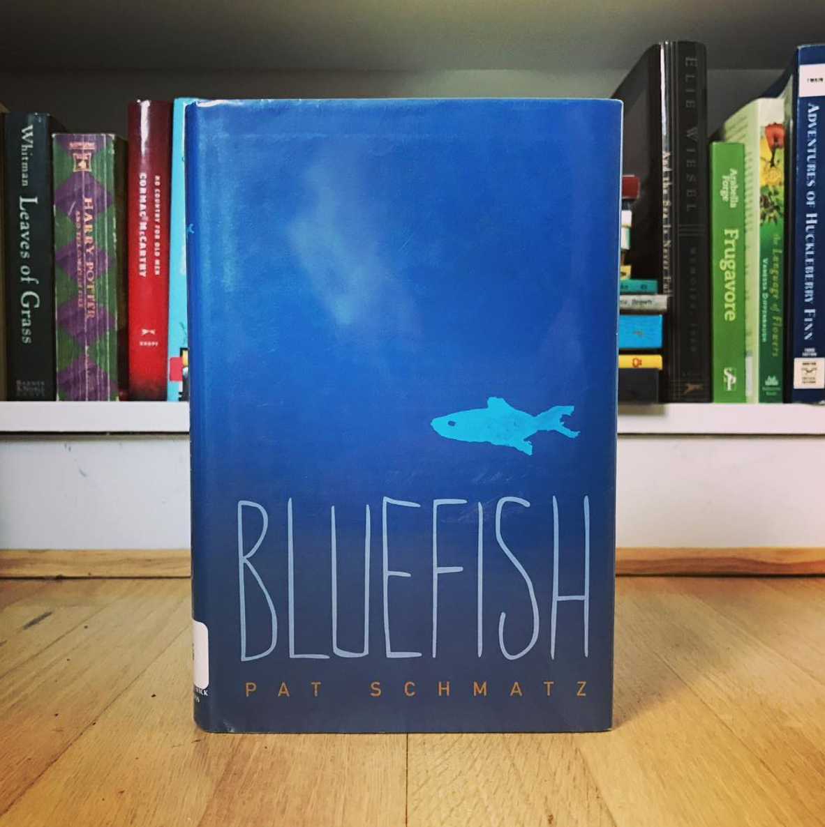 Insta Review: Bluefish, by Pat Schmatz