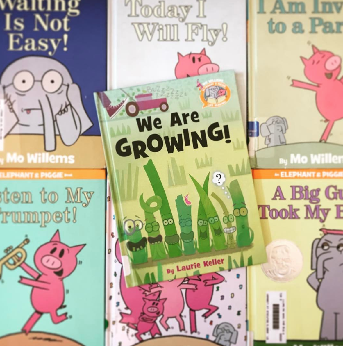 Insta Review We are Growing! by Laurie Keller