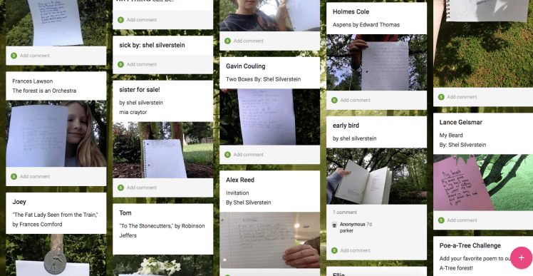 Screen Shot 2020-05-15 at 3.03.59 PM